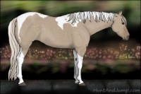 Horse Color:Silver Grullo Tobiano 