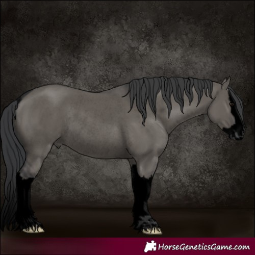 Horse Color:Void Grullo Splash Rabicano