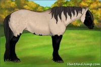 Horse Color:Void Brown Dun Splash 
