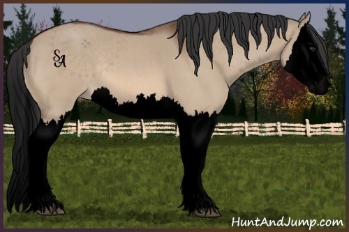 Horse Color:Void Brown Dun Splash 