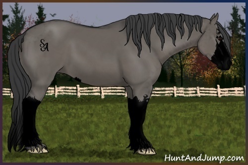 Horse Color:Void Grullo Sabino Splash