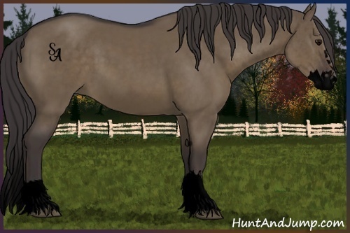 Horse Color:Void Smoky Grullo Sabino Splash