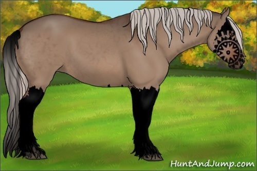 Horse Color:Void Silver Brown Dun Splash