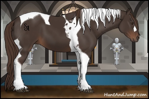 Horse Color:Liver Chestnut Tobiano
