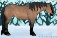 Horse Color:Void Brown Dun Sabino Splash 