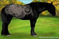 Horse Color:Void Grullo Sabino Splash 