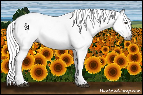 Horse Color:Gray Chestnut