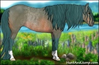 Horse Color:Watercolor Bay Rabicano 