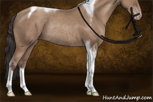 Horse Color:Classic Champagne Tobiano Rabicano
