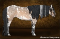 Horse Color:White Spotted Bay Ice Dun 