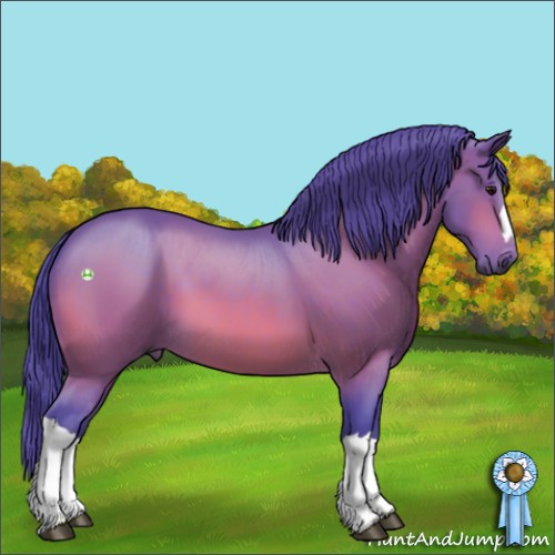 Horse Color:Watercolor Bay 