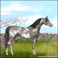 Horse Color:White Spotted Liver Red Dun Ice Frame 