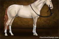 Horse Color:Buckskin Pearl Dun Sabino Tobiano Rabicano