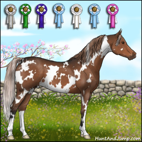 Horse Color:White Spotted Liver Chestnut 