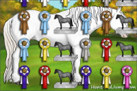 Horse Color:Palomino Roan Appaloosa 