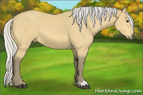 Horse Color:Silver Buckskin