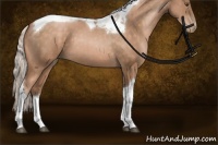 Horse Color:Silver Brown Pearl Tobiano 