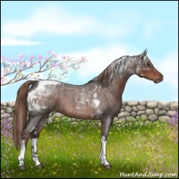 Horse Color:Liver Red Roan Tobiano 
