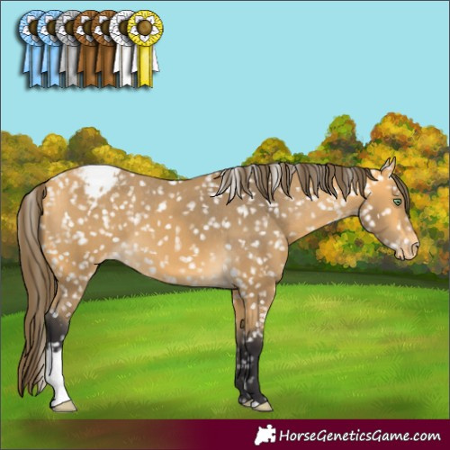 Horse Color:Buckskin Snowcap 
