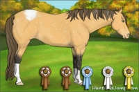 Horse Color:Buckskin Appaloosa
