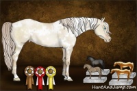 Horse Color:White Spotted Chocolate Palomino Pearl Dun