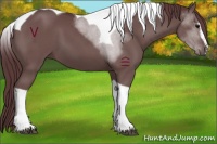 Horse Color:Chocolate Black Sabino Tobiano 