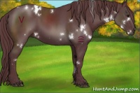 Horse Color:White Spotted Chocolate Black Sabino 