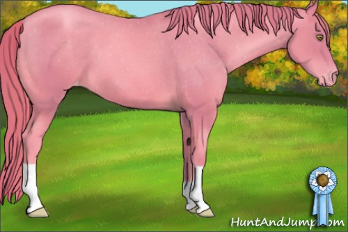 Horse Color:Watercolor Gold Champagne Appaloosa 