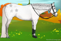 Horse Color:Gray Silver Bay Frame Blanket