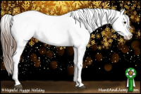 Horse Color:Buckskin Varnish 