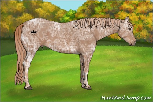Horse Color:Chestnut Ice 
