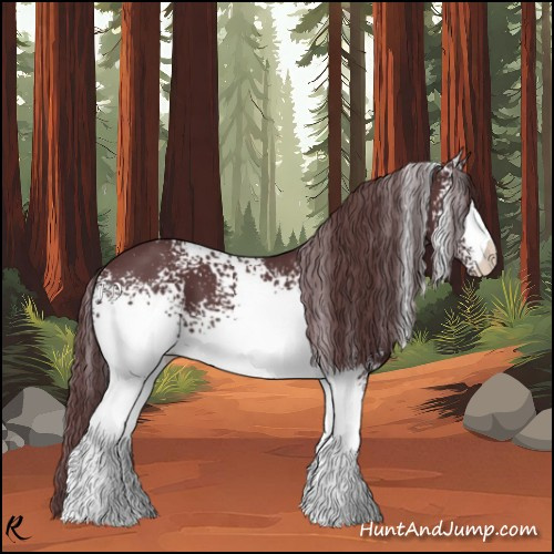 Horse Color:White Spotted Chocolate Black 