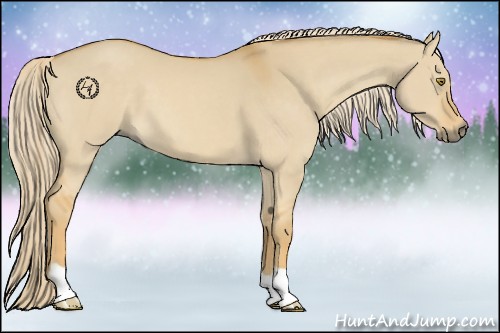 Horse Color:Palomino Dun 