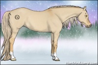 Horse Color:Palomino Dun 