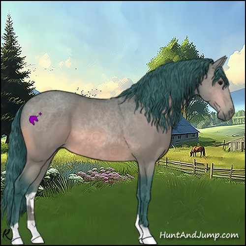 Horse Color:Watercolor Bay 
