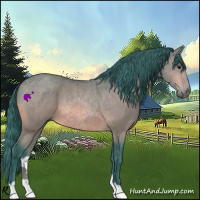 Horse Color:Watercolor Bay 