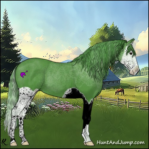 Horse Color:Watercolor Black Splash 