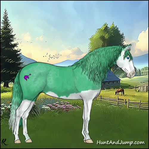 Horse Color:Watercolor Black Splash 