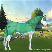 Horse Color:Watercolor Black Splash 