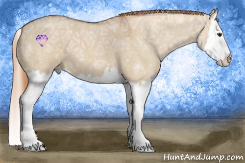 Horse Color:Red Dun Ice Roan Splash