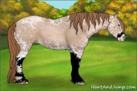 Horse Color:Liver Chestnut Ice Pearl Sabino 
