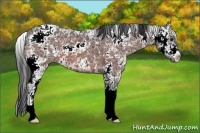Horse Color:Brown Ice Sabino