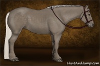 Horse Color:Silver Smoky Black 