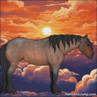 Horse Color:Bay Roan 