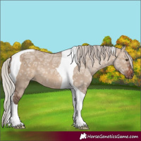 Horse Color:Silver Brown Ice Dun Tobiano 