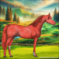 Horse Color:Watercolor Liver Chestnut Frame 