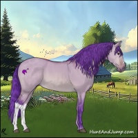 Horse Color:Watercolor Bay Dun 