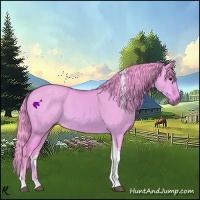 Horse Color:Watercolor Bay Dun Tobiano 