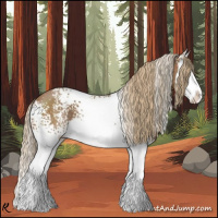 Horse Color:White Spotted Chestnut Splash