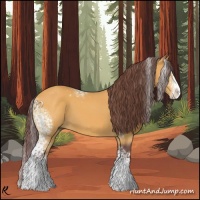 Horse Color:White Spotted Chocolate Buckskin Splash 